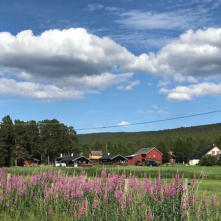 Roste Hyttetun Og Camping Os (Hedmark) Zewnętrze zdjęcie