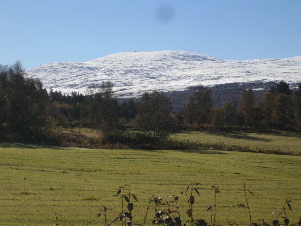 Roste Hyttetun Og Camping Os (Hedmark) Zewnętrze zdjęcie