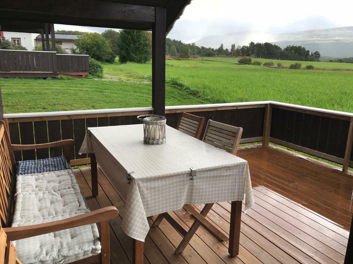 Roste Hyttetun Og Camping Os (Hedmark) Zewnętrze zdjęcie